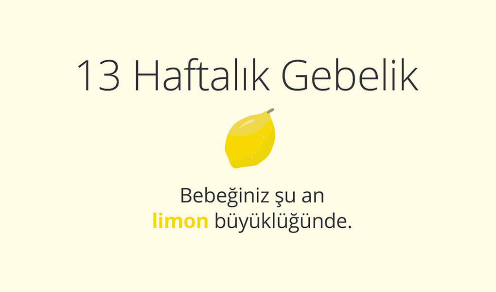 13. haftada bebek limon büyüklüğünde