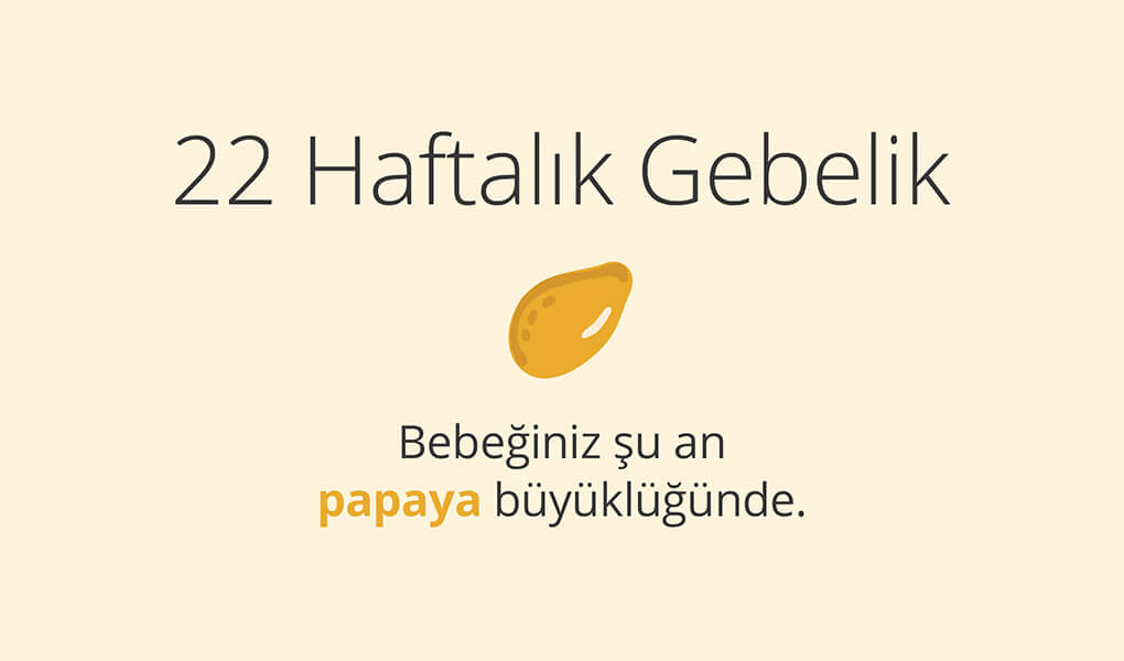 22. haftada bebek papaya büyüklüğünde