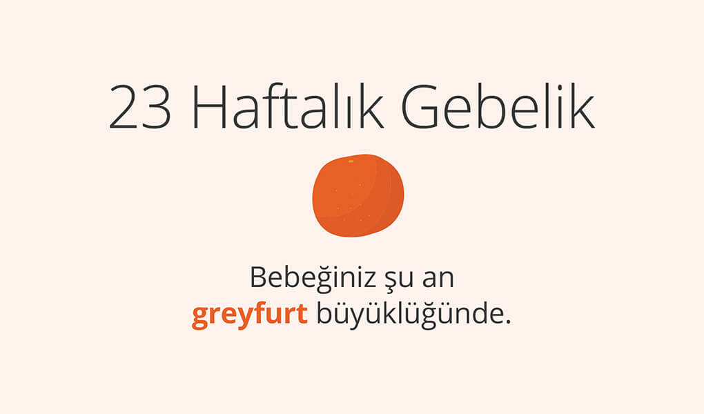 23. haftada bebek greyfurt büyüklüğünde