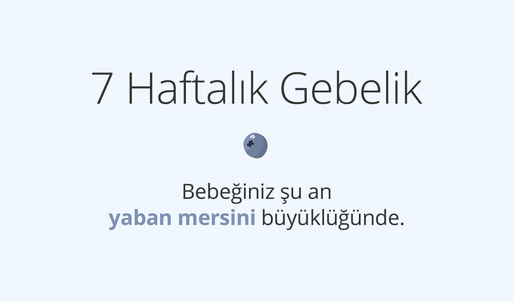 7. haftada bebek yaban mersini büyüklüğünde