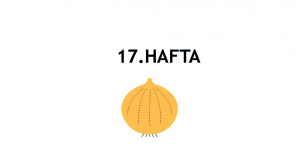 gebeliğin 17. haftası - hafta hafta gebelik