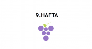gebeliğin 9. haftası - hafta hafta gebelik