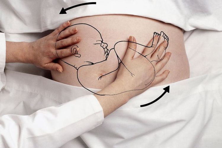 bebeğin karında dönüşünü gösteren hamile anne karnında bebek çizimi