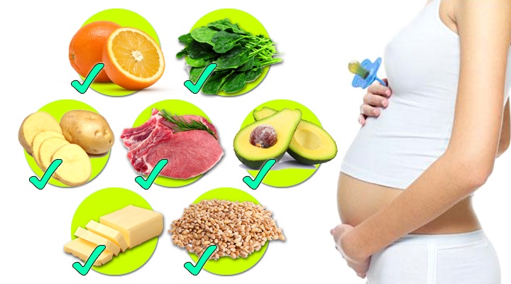 Hamileliğin İlk 3 Ayı ve Beslenme